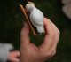 Jesus Brings S'more Joy - a free devotion for fall festivals